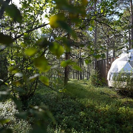 Glod Aurora Canvas Dome Alta Exterior photo
